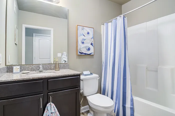 Spa Inspired Bathrooms with Ample Storage Space