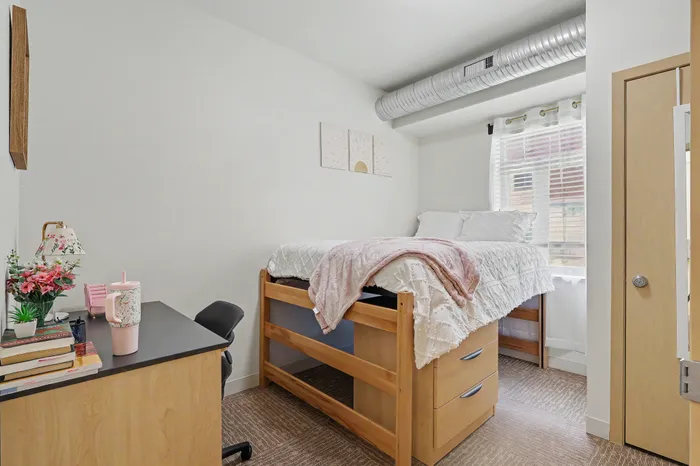 Cozy apartment bedroom with a stylish loft bed, modern desk, and abundant natural light enhancing the inviting atmosphere.