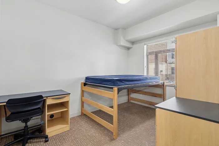 Bright and cozy bedroom featuring a lofted bed, modern desk, and ample natural light through large windows.