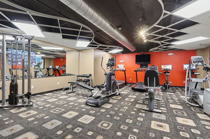 Modern fitness center featuring state-of-the-art cardio equipment, free weights, and a stylish patterned carpet, ideal for an energizing workout.
