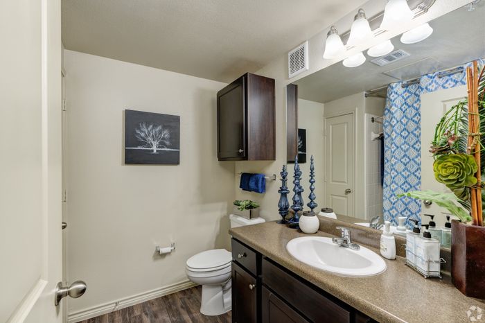 Elegant bathroom with modern decor, featuring sleek dark wood cabinetry, a stylish countertop, and lush green accents. The space includes a contemporary mirror with bright lighting and a vibrant blue patterned shower curtain.