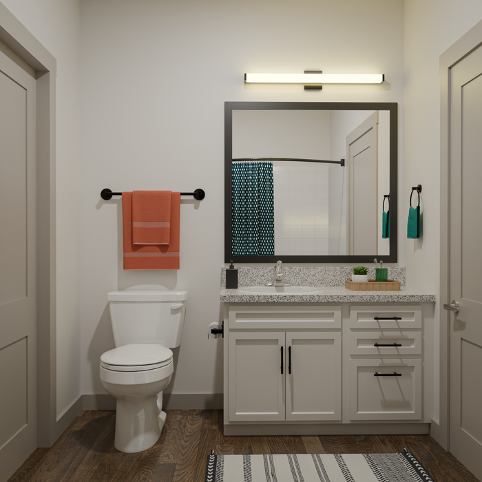 bathroom rendering with cabinet and decor
