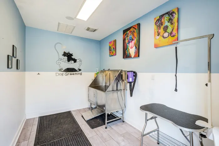 Community Pet Wash Station