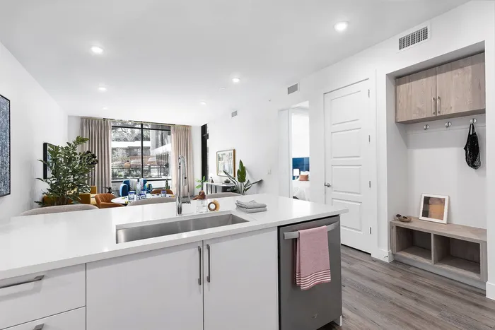 1155 Barton Springs Mudrooms