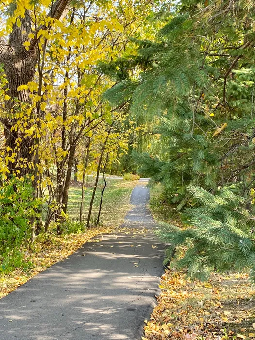Walkways with beautiful views