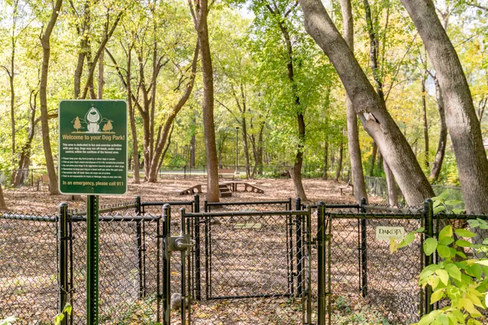 Dog park in Shaded area