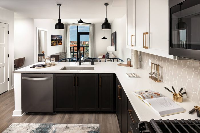 One bedroom apartment Harlowe