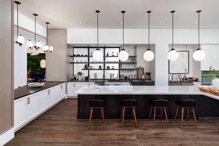 Harlowe Resident Bar With Beverages on Tap