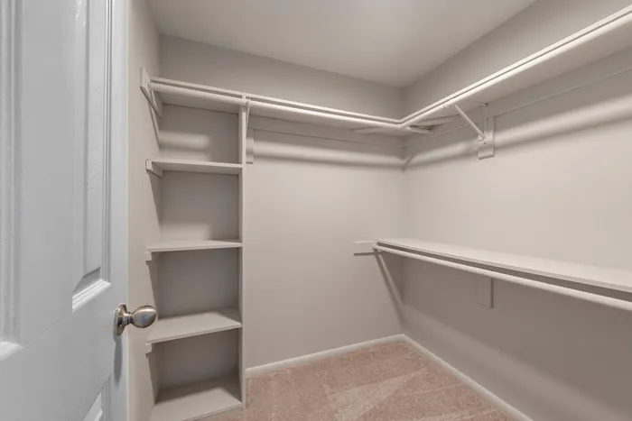 renovated closet with ample stoarge