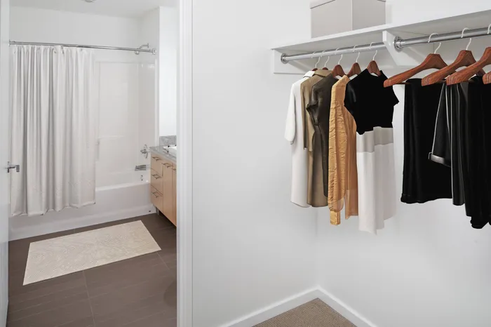 Primary Closet and Bath