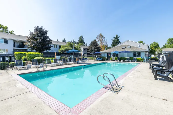 Pool and lounge chairs