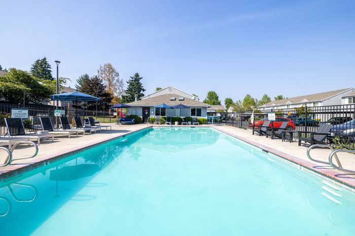pool with lounge chairs