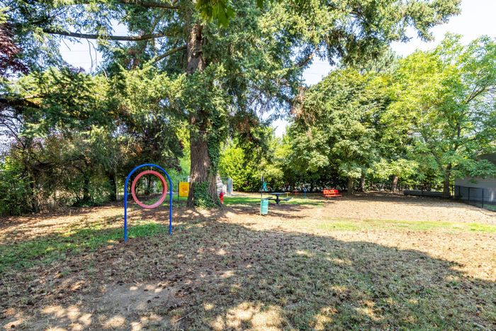 Dog Park