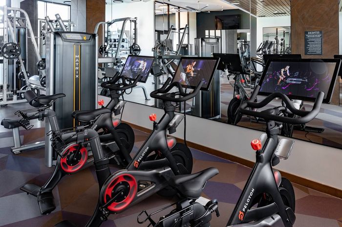 Peloton Bikes in Fitness Center