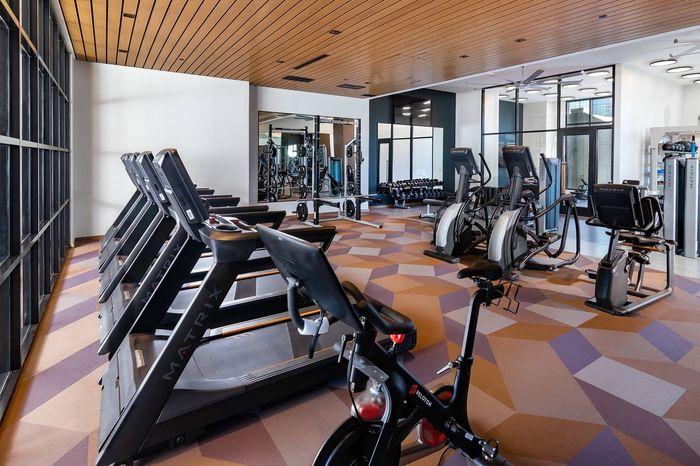 Fitness Center with Cardio and Weight Training