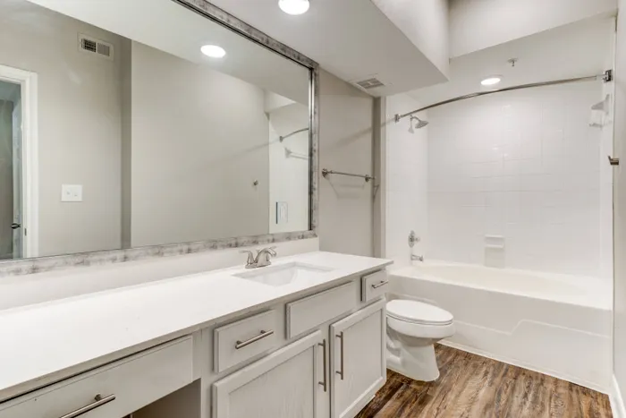 Renovated Primary Bathroom