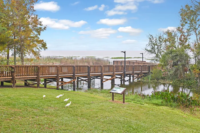 Magnolia Park near Summerwell Avian Pointe community.