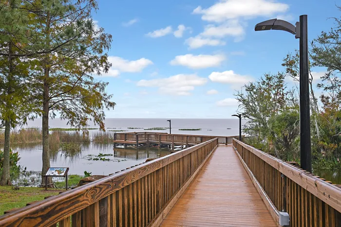 Magnolia Park near Summerwell Avian Pointe community.