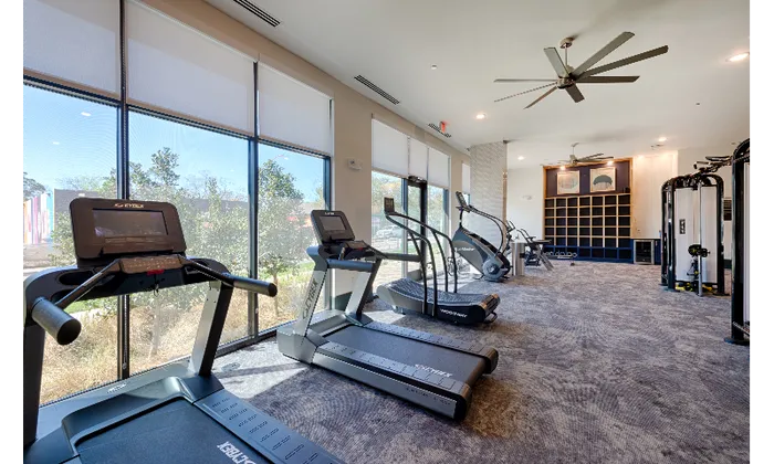 Gym - Cardio equipment