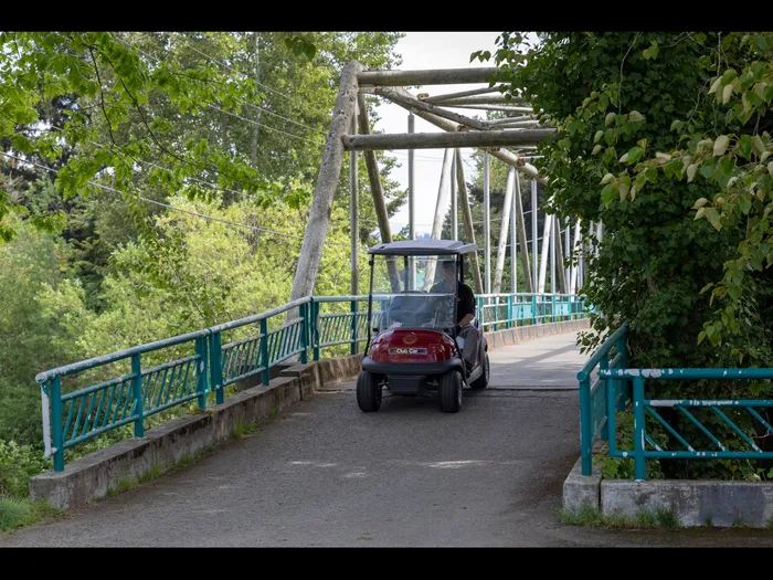 Bridge and man in golf cart
