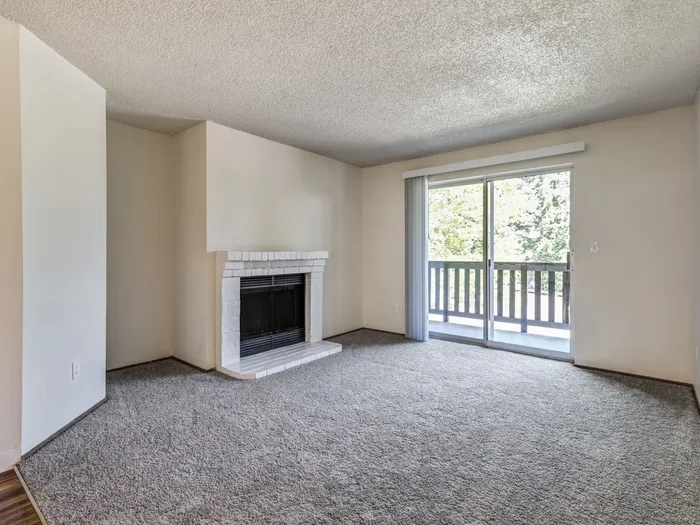 Spacious Living Room