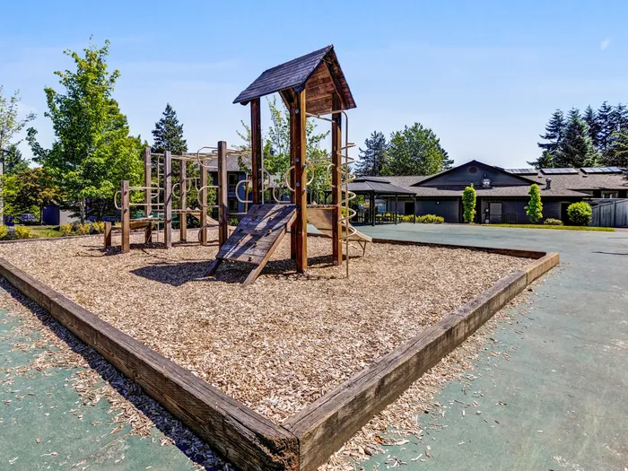 Play Area
