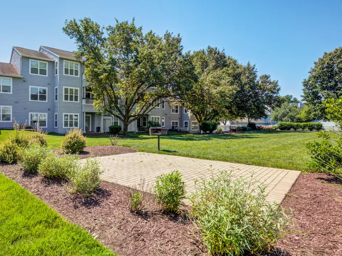 BBQ Lawn Area