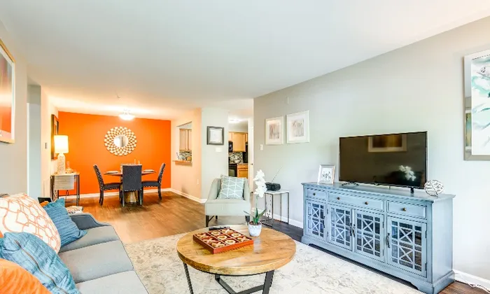 Elegant Living Area