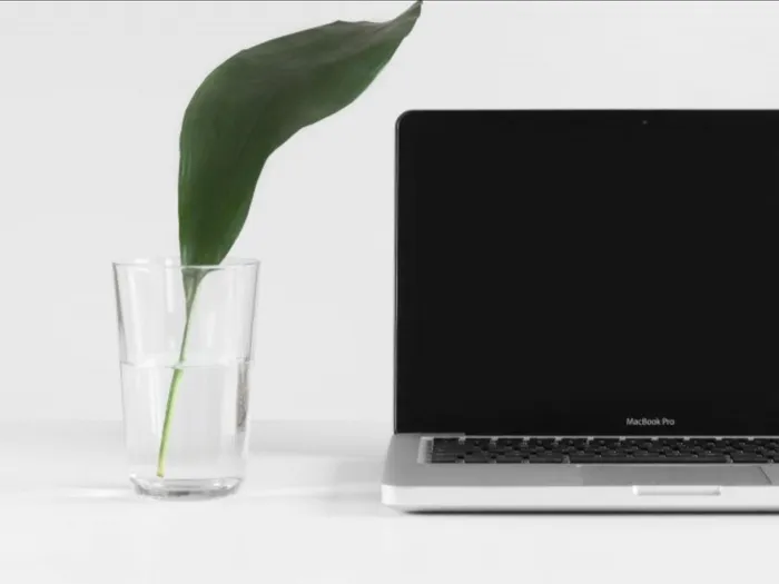 A leaf in a glass of water next to a computer at our apartments for rent in Owings Mills, MD, featuring a white backdrop.