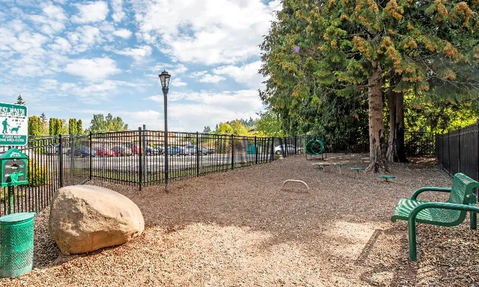 Dog Park