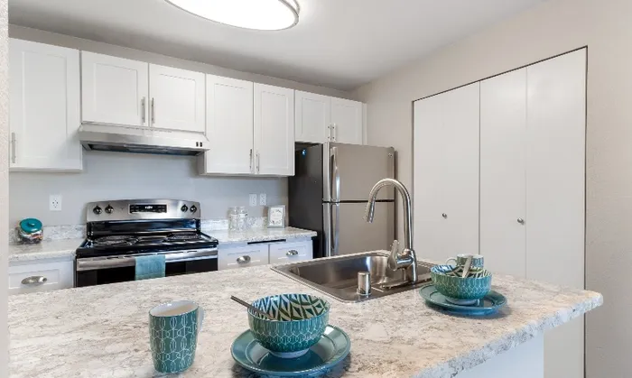 Modern Kitchen