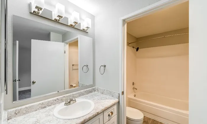 Ornate Bathroom