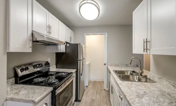 Luxurious Kitchen