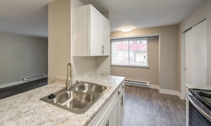 Spacious Kitchen