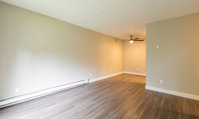 Spacious Living Area