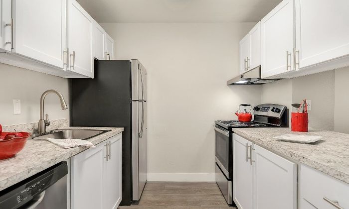 Elegant Kitchen