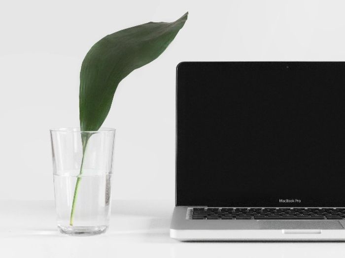 computer with green leaf
