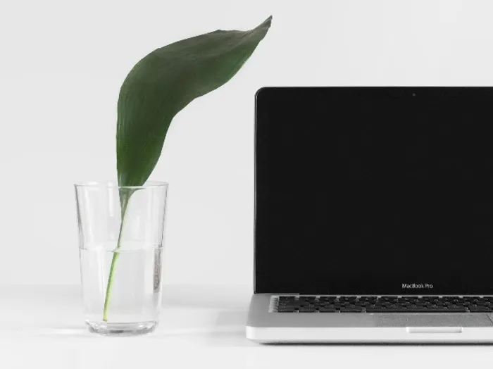 computer with green leaf