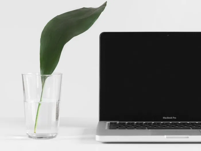 computer with green leaf