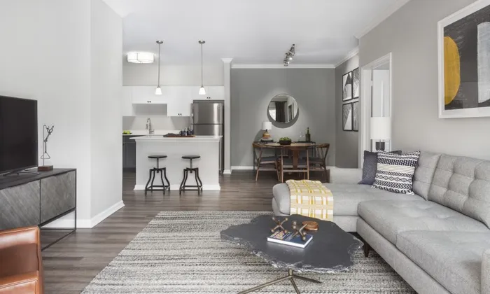 Luxury Marlborough MA apartment living room with grey sectional.