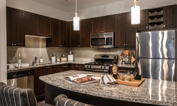 sleek chef-inspired kitchen with granite counters