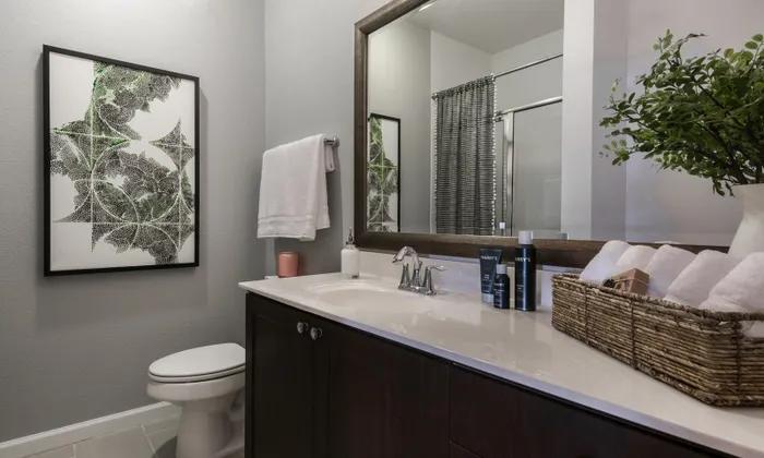 chic bathroom finishes