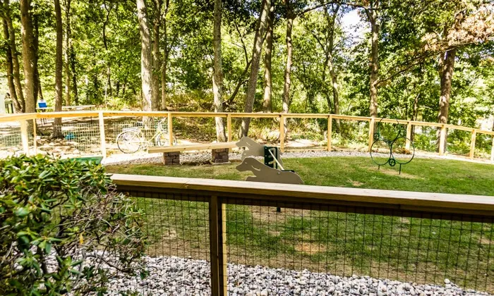 Dog park