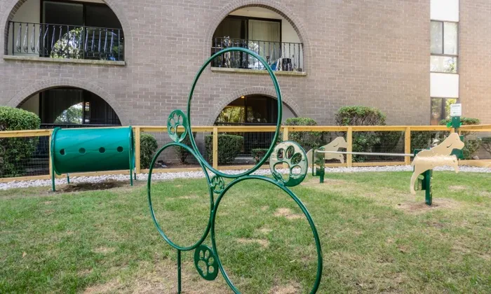 Dog park agility equipment
