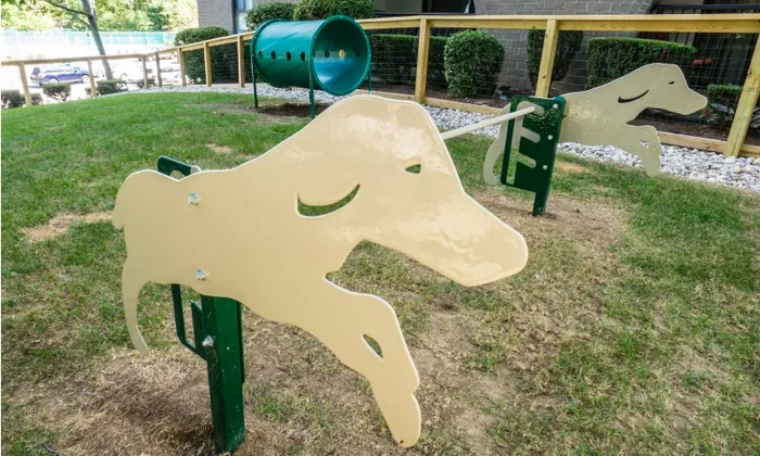 Dog park