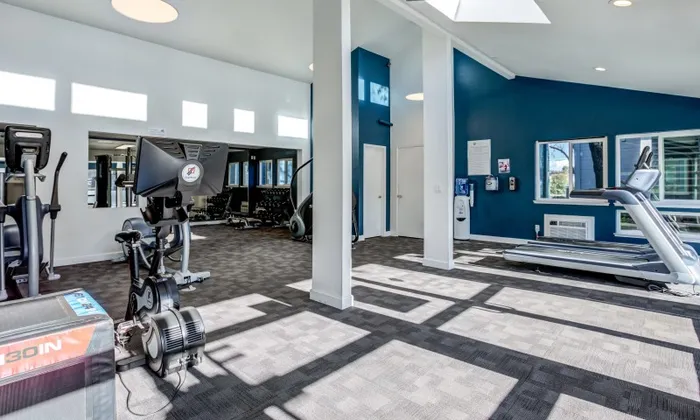 Fitness Center Equipment