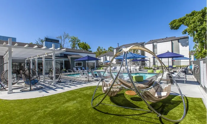 Pool and Hammocks