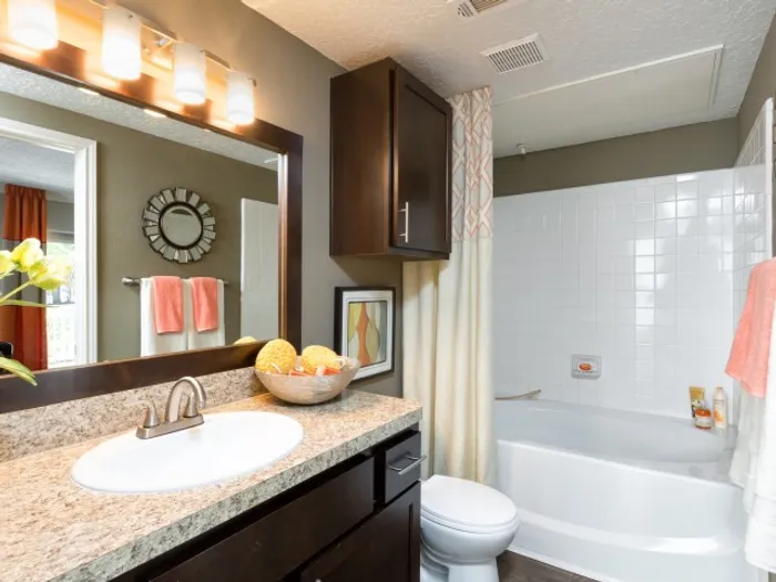 Model Bathroom