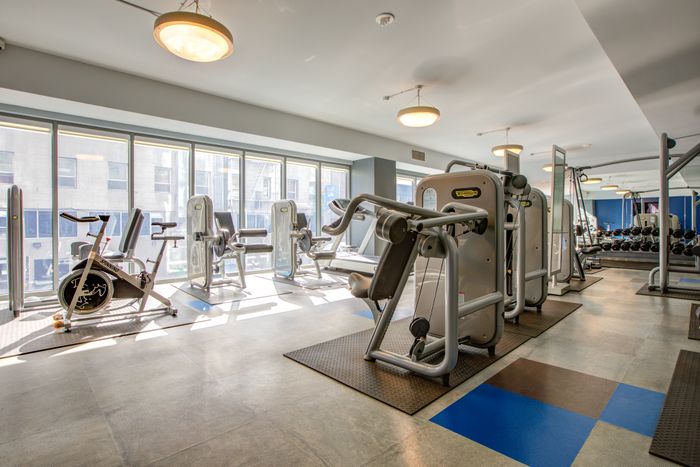 gym