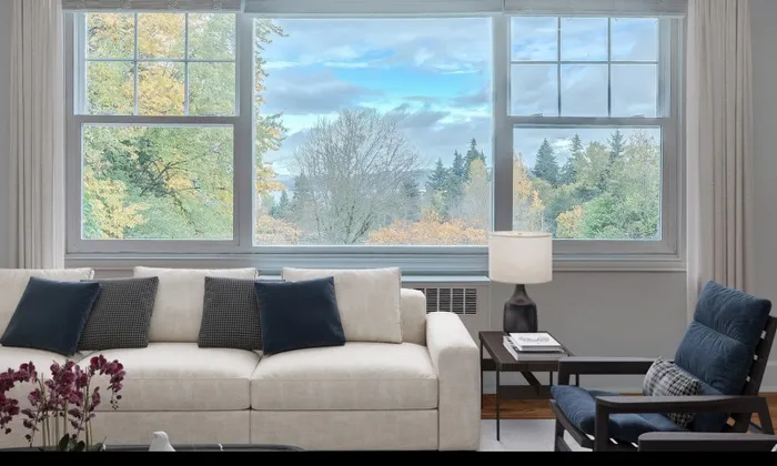 Large Windows